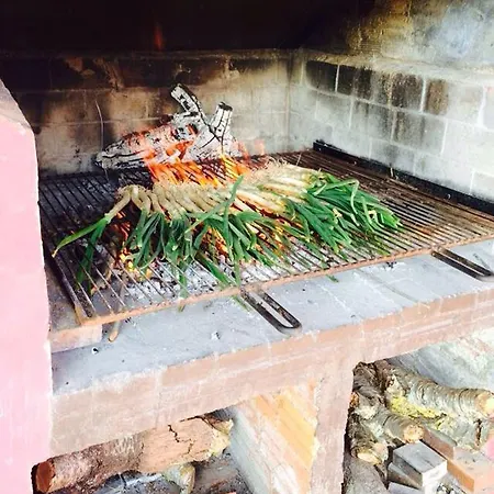 La Casa De Les Cireres * Juncosa